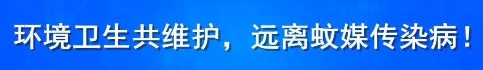 inews, 不同背景球, 加洛斯青少