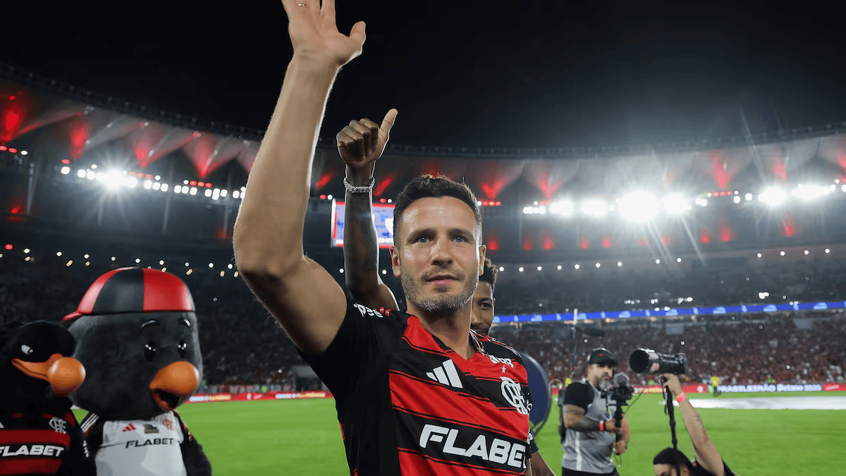 stron, 我的队友们 stron, 我的队友们