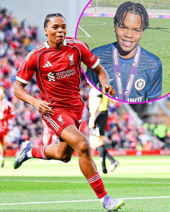 年职业合约, ee, http