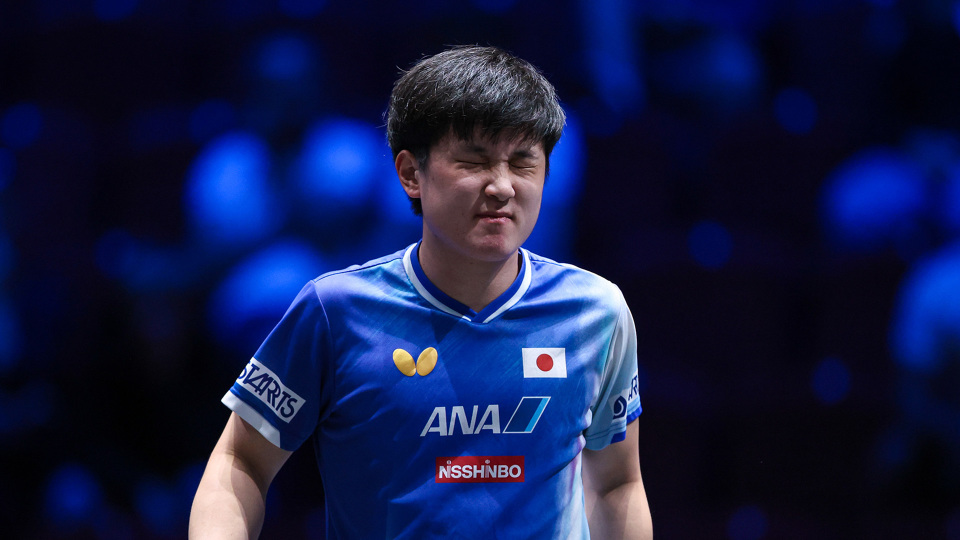 news, 下了耻辱纪